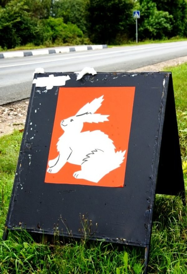 ������� ��������. �������.