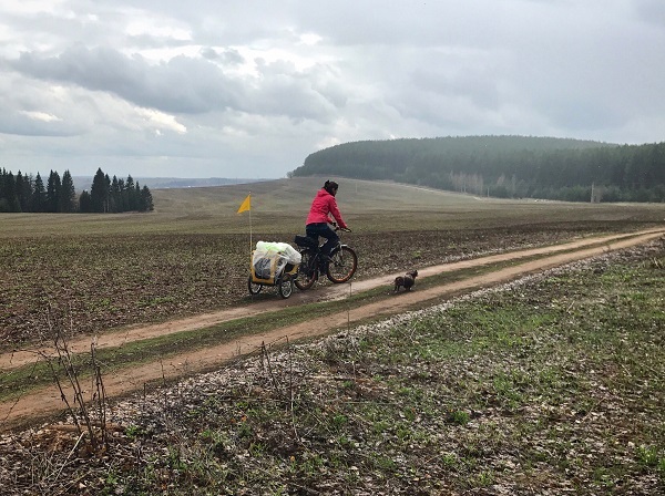 Anna Smolina has been cycling with a dying dachshund for 10 days - Animals, Dog, Pets, Travels, Dachshund, Dogs and people, Traveling, Pet, Longpost, Pet