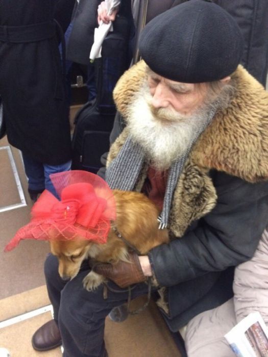 Strange passengers of the Russian metro - , Metro, Longpost