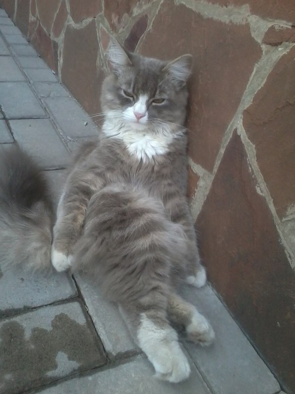 Рассказывай, зачем пожаловал