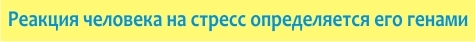 5 myths about stress - Psychology, Stress, Myths and reality, Genetics, Upbringing, Emotions, Longpost