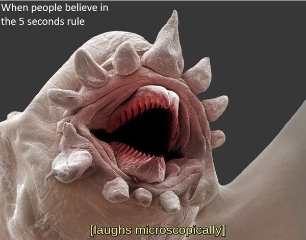 Про микробов на полу