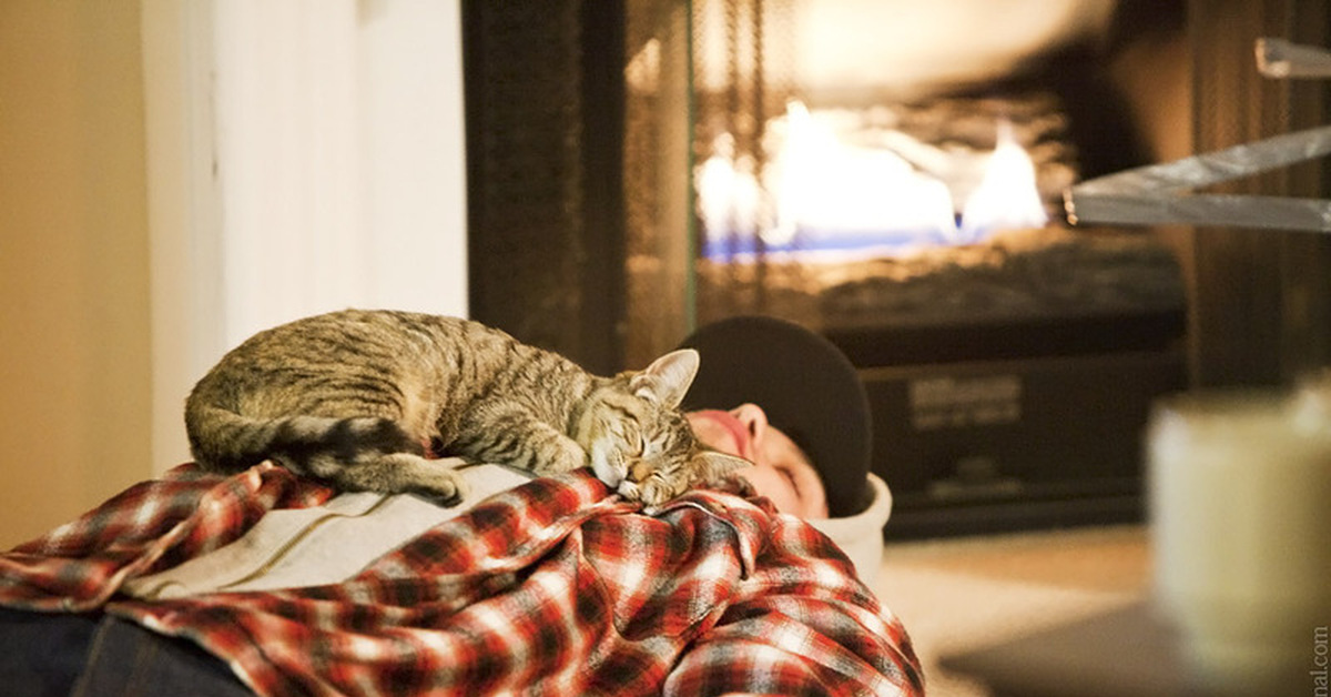Почему коты постоянно спят. Котик лежит с хозяином. Кошка лежит на человеке. Кошка лежит на хозяине.
