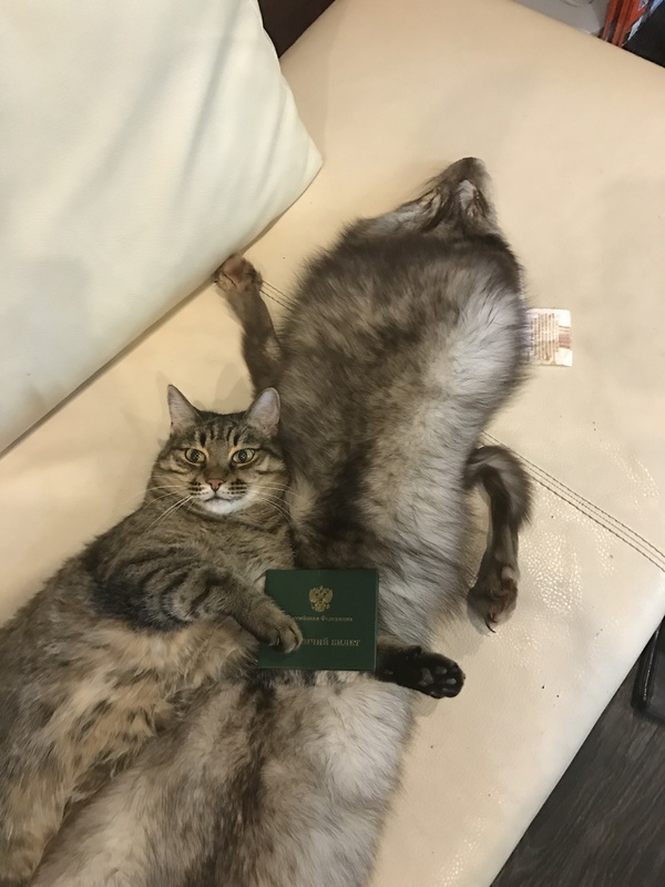  , , , , 