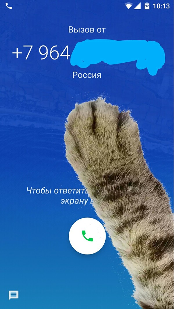 Google cat's paw. - Paws, cat, Пасхалка, Google