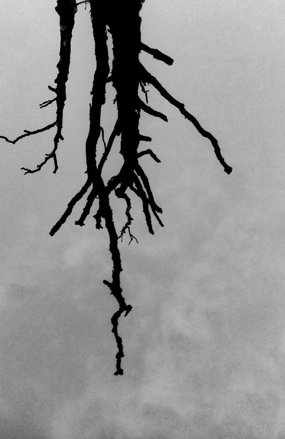 Черно-белое моё Черно-белое, Фотография, Длиннопост