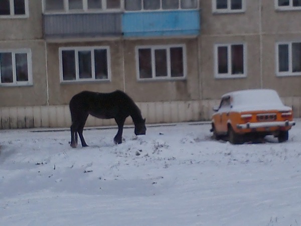 Припаркован