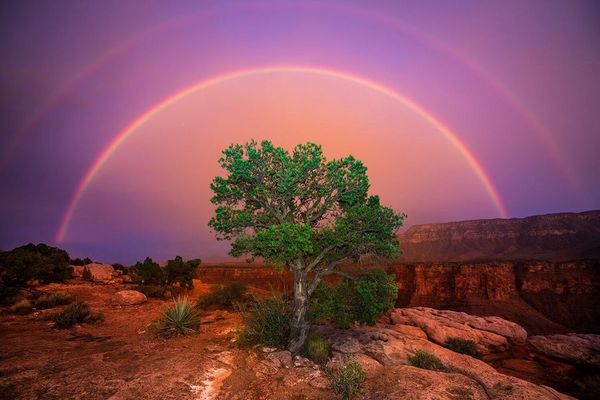 Rainbow
