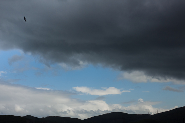 After the rain - Sky, My, Martin, The clouds, Vladivostok, Clouds