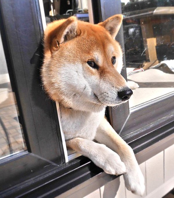 Негабаритные.