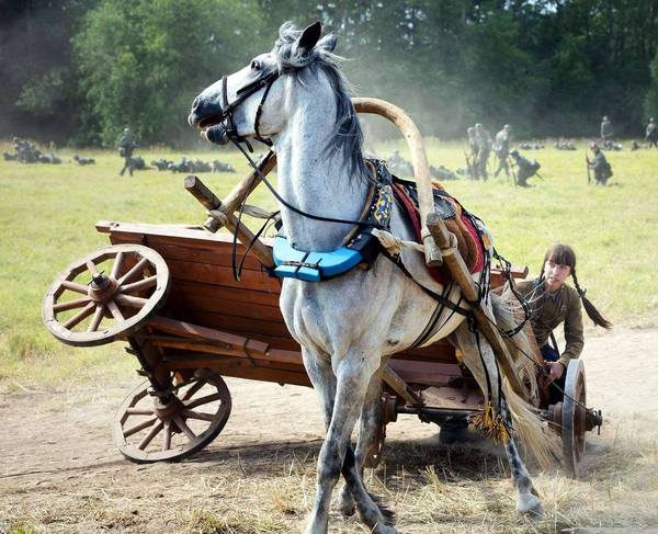 Horse-drawn drift - it is like that, it can be dangerous and unpredictable - Horses, Reconstruction, The Great Patriotic War, Drift, Coup, Pigtails