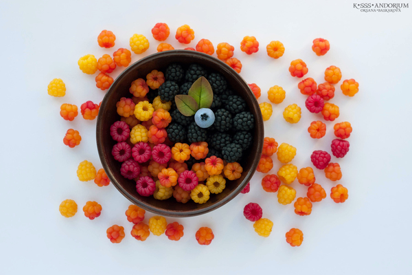 How to keep the summer mood while the May snow is outside; - My, Polymer clay, Ksssandorium, Berries, Handmade, Summer, Raspberries, Cloudberry, Blackberry
