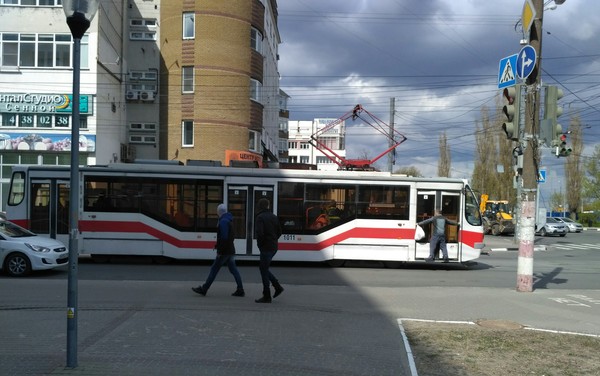 That feeling when you don't want to pay the fare - Nizhny Novgorod, My, Hare