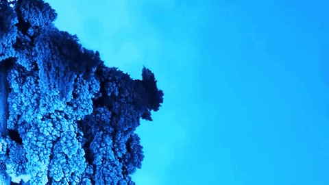 Copper in GIFs - GIF, Chemistry, League of chemists, Experiment, Copper, Metal, Longpost