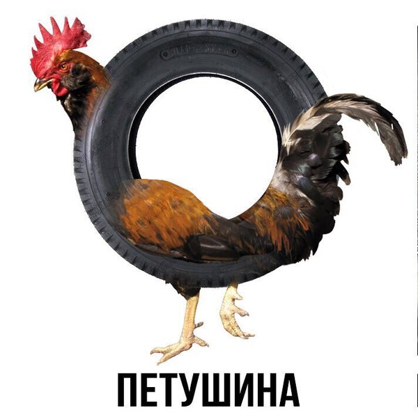 Rooster + tire - Rooster, Tires, Photoshop