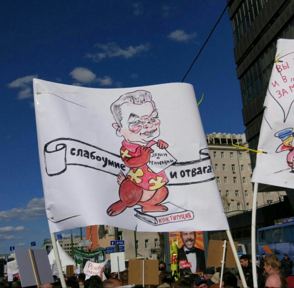 Excellent posters from the rally against renovation - Renovation, Rally, Politics, Moscow, Sergei Sobyanin