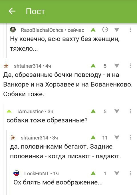 Imagination - Comments on Peekaboo, Screenshot, Dog, Yamal