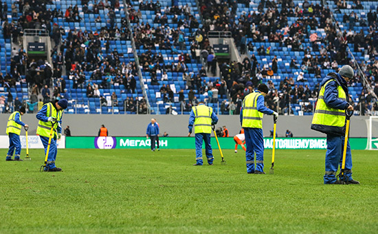 Saving the lawn of the St. Petersburg arena will begin with a trial firmware - Football, Gazprom arena, 