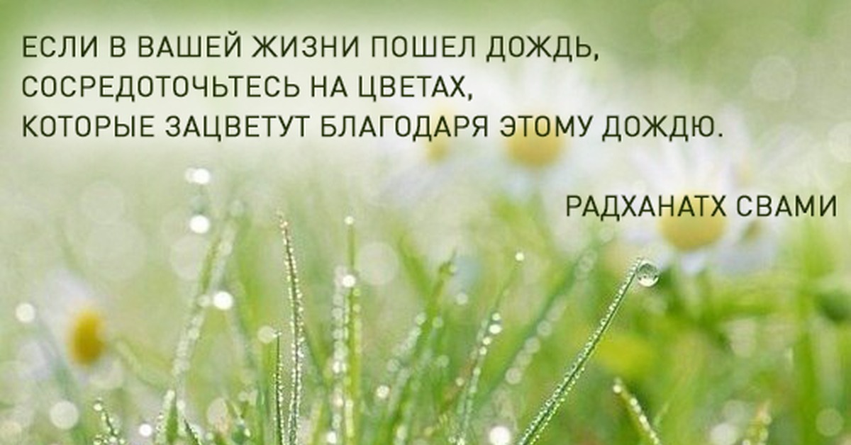 Жизнь пойдет. Если в вашей жизни пошел дождь. Если в вашей жизни пошел дождь сосредоточьтесь. Если в вашей жизни пошел дождь сосредоточьтесь на цветах. Цитата если в вашей жизни пошел дождь сосредоточьтесь на цветах.