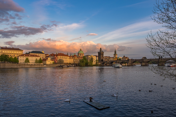 Sunsets and sunrises in a couple of cities - Wroclaw, Sunset, dawn, My, Prague, The photo, Flowers, Longpost