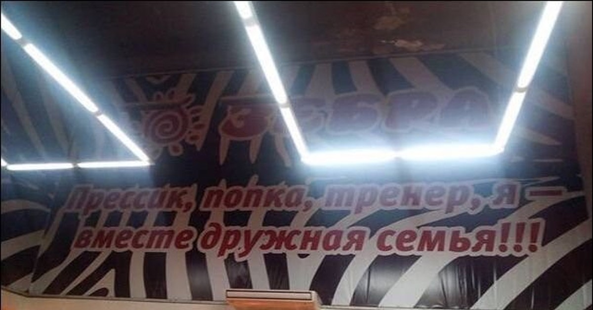 Дружная семья | Пикабу