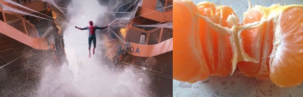 Паучий мандарин