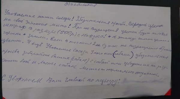 Пропал цветок! - Соседи, Объявление, Цветы, Коты и собаки вместе