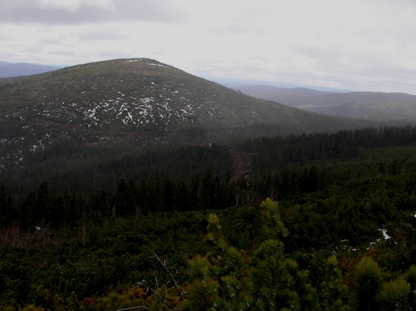 Тайга - Моё, Амурская область, На амуре, Тайга, Природа