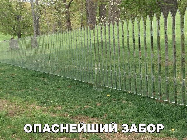 Забор Хищника