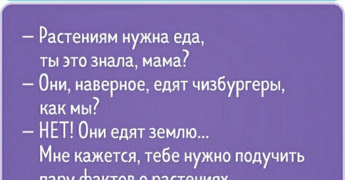 детские смешинки. шутят. статусы дети шутят. дети шутят юмор. ну че собрал деньги на вело.