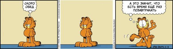 Перевод Гарфилда, 13 мая 2017г.