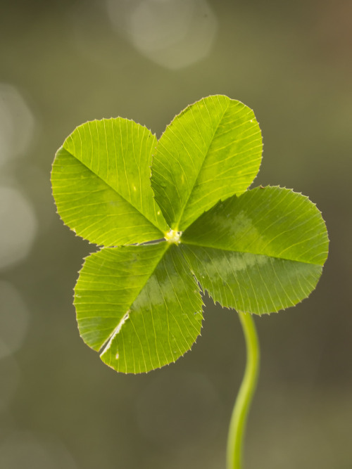 ����� ��� ������� ������ � �������������