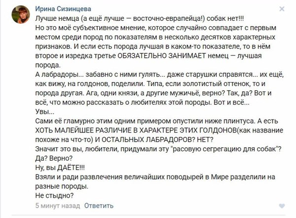 Когда ты не очень хорошо разбираешься в породах собак - Честно украдено, Золотистый ретривер, Породы собак