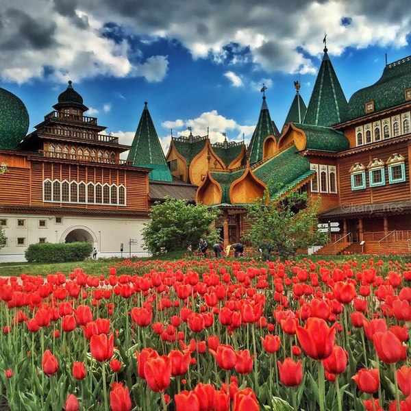 Palace of Tsar Alexei Mikhailovich and the sea of ??tulips - Castle, Kolomenskoe, Moscow, Flowers, The photo