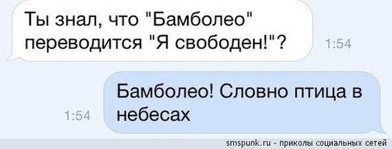 Раз уж зашла тема о цыганах. Есть  классная группа, одни из немногих нормальных цыган. - Цыгане, Хорошая музыка, Музыкальная группа, Длиннопост