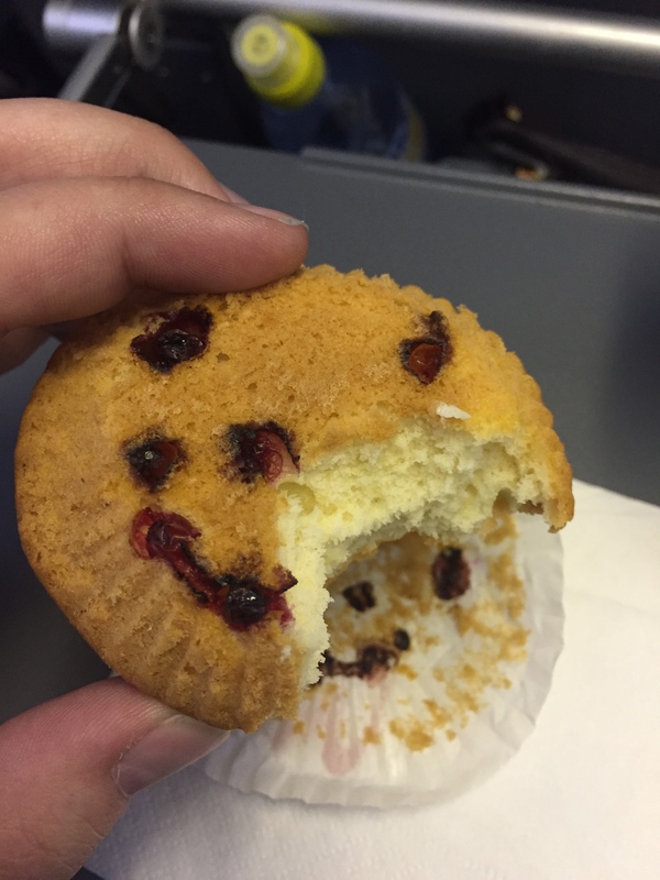 Thanks airline Russia. It was tasteless. - My, Food, Flight, Airplane, Airline, Aeroflot, Russia, Longpost