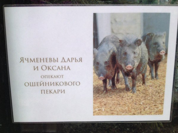 �������� ������ ������, ��� �� ��� ������, � ��� - �����