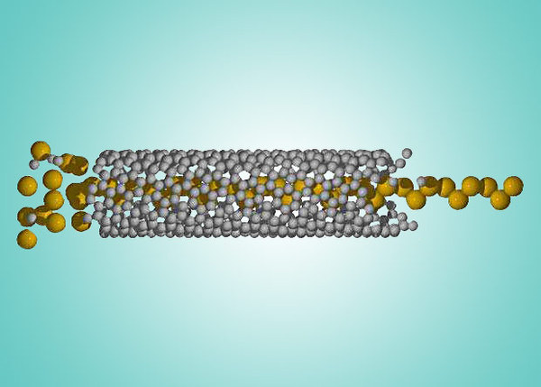 Created a single-atom wire in nanotube insulation - The science, news, , 