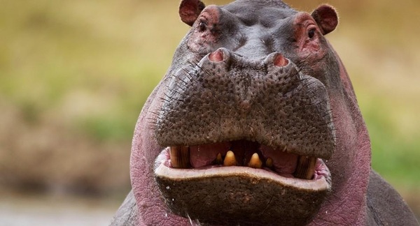 Его обидели, и он собирается мстить