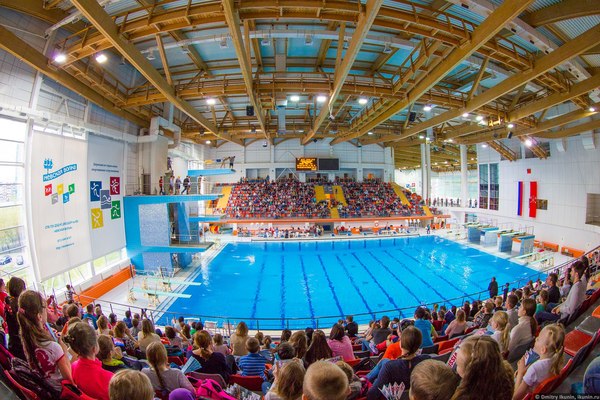Full grandstands at junior diving competitions - My, Diving, Competitions, Saint Petersburg, Russian Championship, Sport, Youtube, Video, Longpost