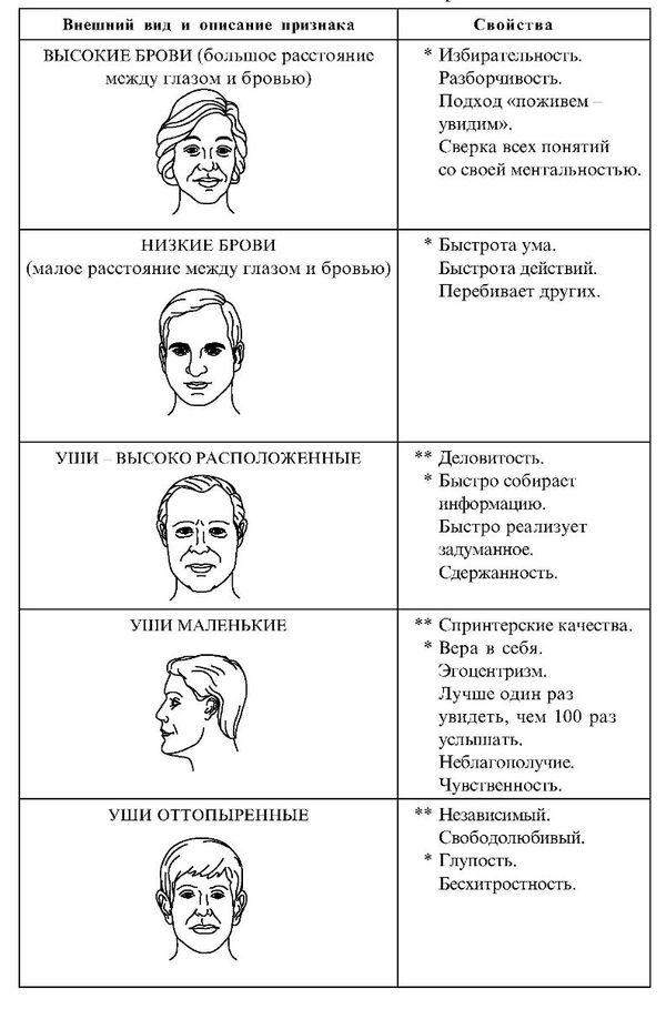 Физиогномика лица и характер схемы и описание мужские