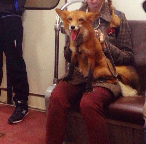 ����� ������� � �����