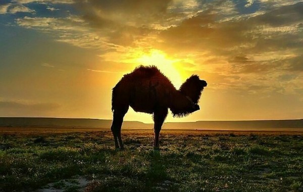 ����� ��� ��������!!!