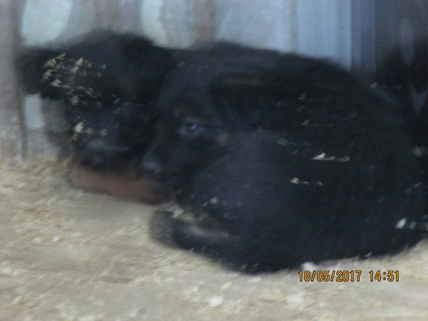 Давайте будем людьми! Челябинск