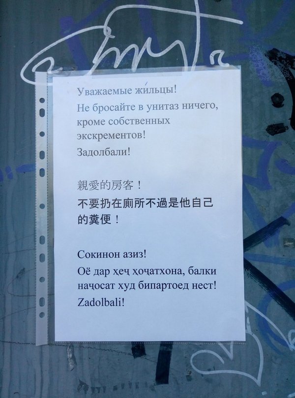 Просто объявление на двери подъезда