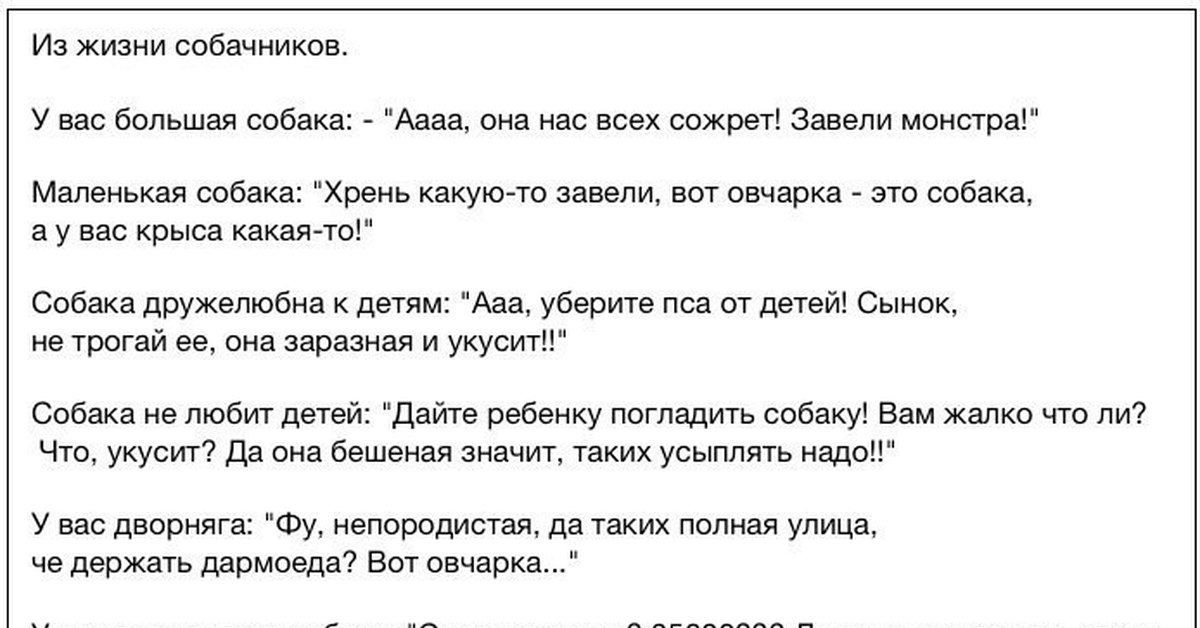 Что значит неистово. Смешное про собачников. Фразы собачников. Шутки про собачников. Анекдоты про собачников.