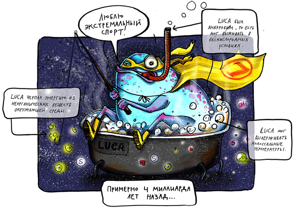 В диких условиях: как жил последний всеобщий предок LUCA