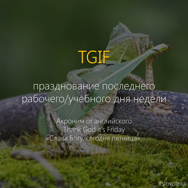 TGIF Slovoteka, St---, , , 