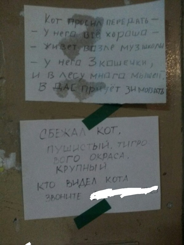 � ���� ��� ������.