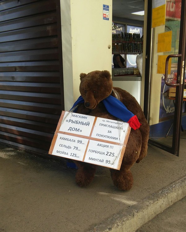 Bear found a job - My, The Bears, Vacancies